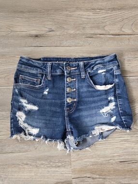 American Eagle Next Level Stretch Booty Shorts Jeans Denim Distressed High Waist